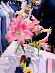 -埃沃定制(壹方城购物中心店)