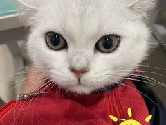 -子乐宠物医院