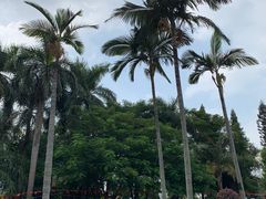 -北部湾广场