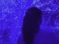 -石家庄海洋公园