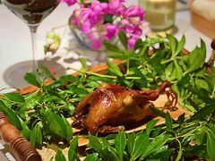 -蝶舍·MAISON PAPILLON