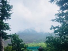-富士山吉田線五合目