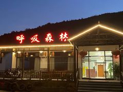 -呼吸森林·生态农庄农家乐私房菜