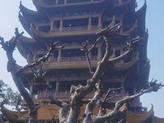 -黄鹤楼公园(黄鹤楼)