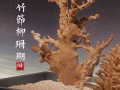 -中国湿地博物馆