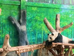 -灵玲国际马戏城