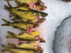 -千滋百味自助海鲜烤肉(布吉景华店)