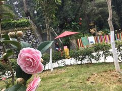 -韶关经律论国际酒店温泉