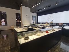-BLACKSWAN黑天鹅(环球店)