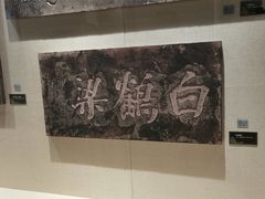 -白鹤梁水下博物馆