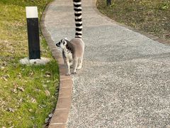 -上海野生动物园