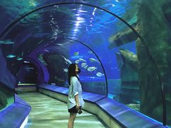 -福州罗源湾海洋世界旅游区