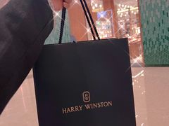 -Harry Winston 海瑞温斯顿