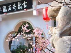 -无锡梅园公园