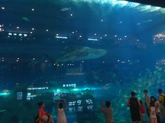 -成都浩海立方海洋公园