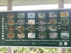 -福道