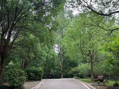 -南京市江宁方山