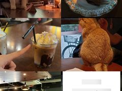 -咖法森林·咖啡  酒吧(天河店)