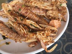 -七鲜渔港美食餐厅(巽寮湾海景店)