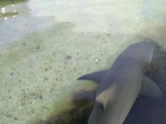 -鸿通城购物中心