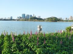 -顺峰山公园