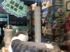 -小尾巴宠物店(万科·金域华庭店)