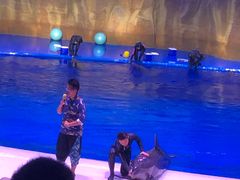 -华夏文旅海洋公园