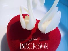 -BLACKSWAN黑天鹅(环球店)
