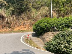 -火炉山森林公园