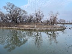 -盐城丹顶鹤湿地生态旅游区