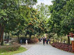 -中山市树木园
