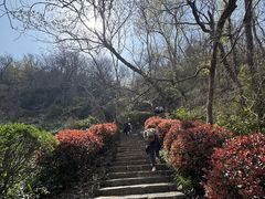 -南京市江宁方山