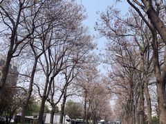 -北京博济体检中心(亦庄店)