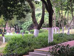 -天河儿童公园