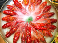 -红盔甲·小龙虾(天钥桥店)