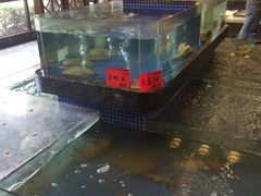 水产区-江海渔港(姚港路店)
