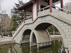 -团结湖公园