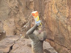 -昆明动物园