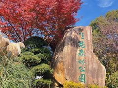 -昆山城市生态森林公园