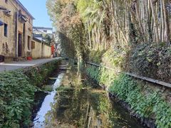 -新安江山水画廊风景区