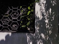 -豫园