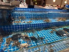 -星伦多自助料理·涮烤一体(杭州来福士店)