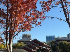 -西海子公园