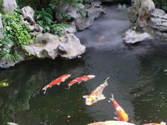 -鲤院·新中式美学·庭院餐厅(夫子庙店)