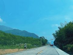 -四明山国家森林公园