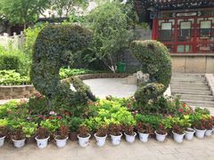 -文瀛公园