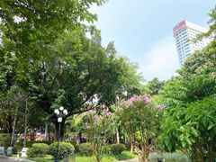 -东风公园