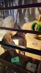 -酷嗒动物文化乐园(cutezoo西溪乐天城店)