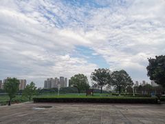 -月湖风景区