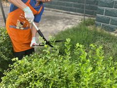 -上海市松江华阳敬老院